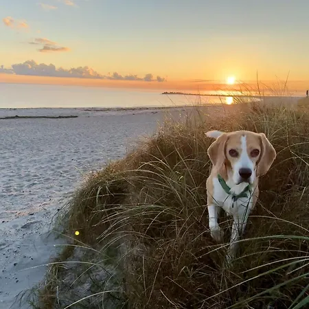 Kuestenliebe Direkt Am Mit Eingez Garten